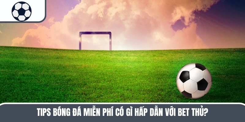 Tips Bóng Đá Miễn Phí Cam Kết Tỷ Lệ Vào Bờ Lên Đến 99%